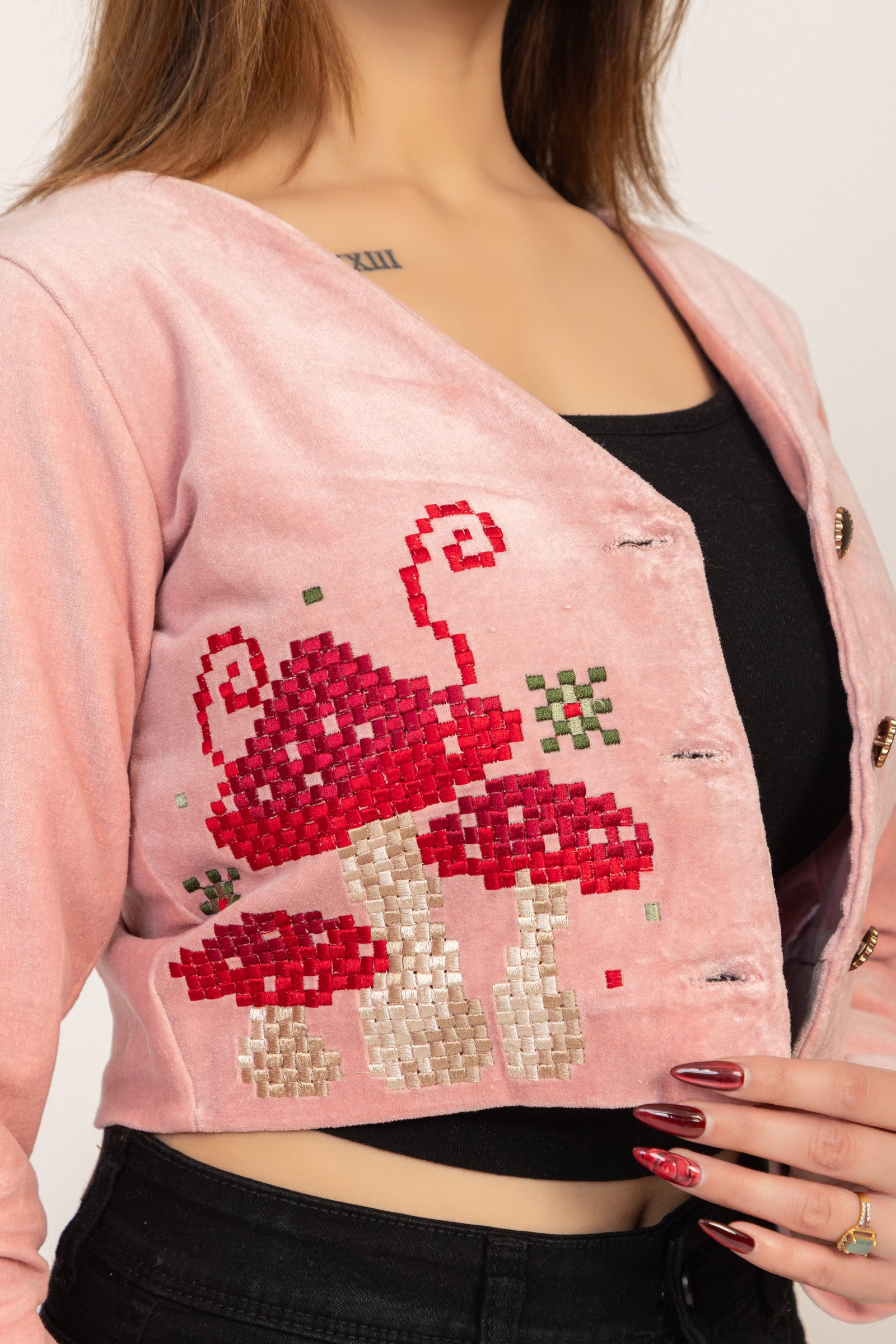 Embroidered Velvet Crop Jacket